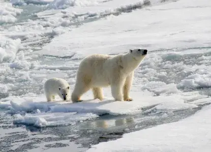 Best Things To Do in South and Central America in September 