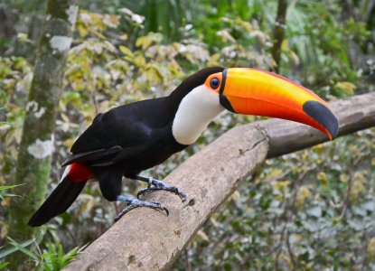 Argentina’s Sustainable Tourism