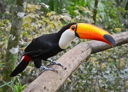 Argentina’s Sustainable Tourism