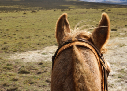 How to Dodge the Crowds in Patagonia