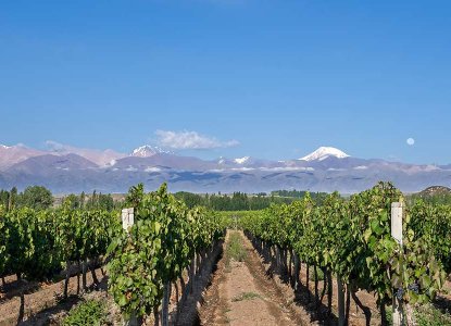 shutterstock_1101015800