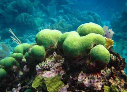 The Best Snorkel Spots in Nicaragua