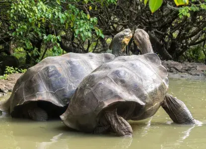 Tourism and Sustainability in Ecuador