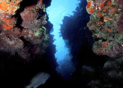 The Best Snorkel Spots in Honduras