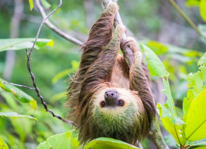 Panama City International Airport Guide