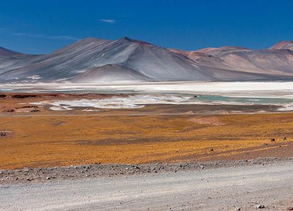 webshutterstock_1954964404