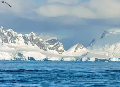  Antarctica-whale-tail-hero.jpg 