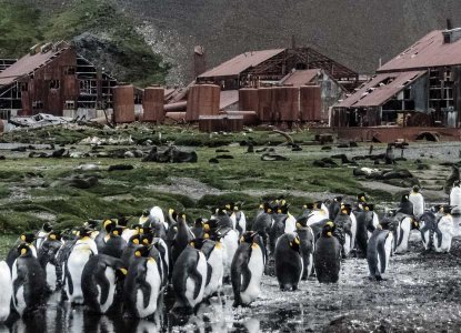  South-Georgia-Whaling-Station 