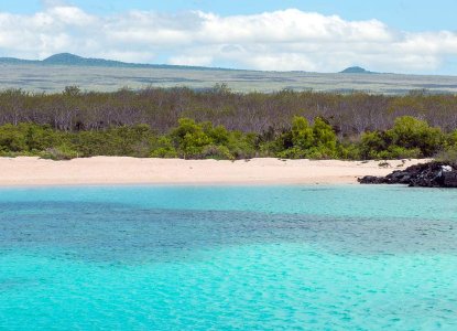 North Seymour, Galapagos Islands) 