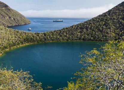 Tagus Cove, Galapagos Islands, Ecuador ) 