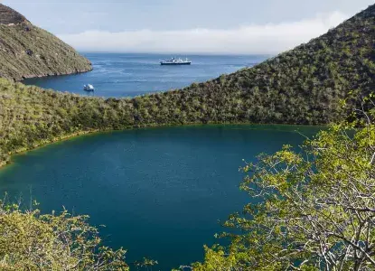 Tagus Cove, Galapagos Islands, Ecuador ) 