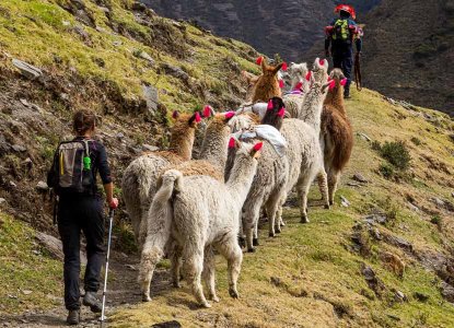 The Great Chimu Sale