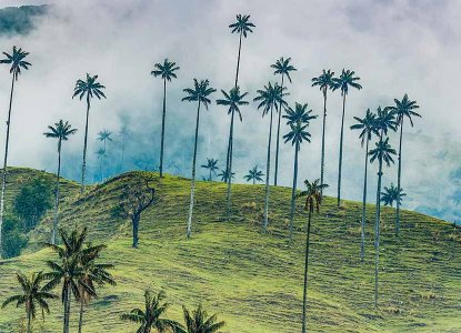 salento-cocora-valley-hero_0