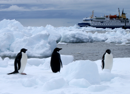 Benefits of Small Ship Cruising in Antarctica