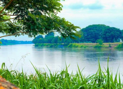 Magdalena river, Colombia) 