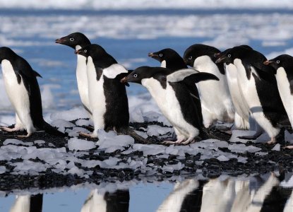 antarctica special deals