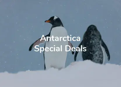 Antarctica Cruises Special Deals