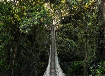 inkaterra-canopy-walkway
