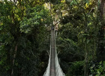 inkaterra-canopy-walkway.jpg