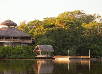 Exploring the Amazon: Lodge or River Cruise?