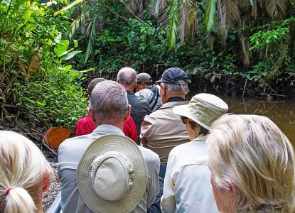 Best Time to Visit the Amazon