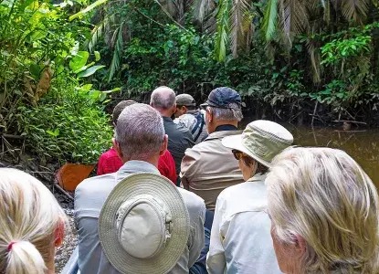 Best Time to Visit the Amazon