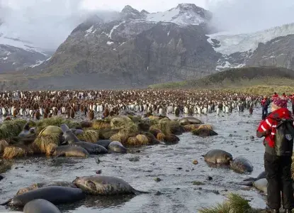 Think polar & south america think chimu 