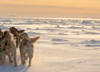  kullorsuaq-dog-sledding-greenland.jpg 