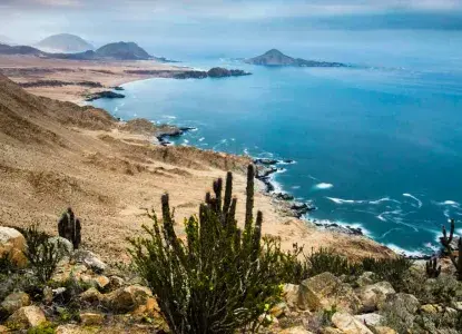  Atacama-coastline_Pan-de-Azucar-National-Park_Chile-HERO.jpg 