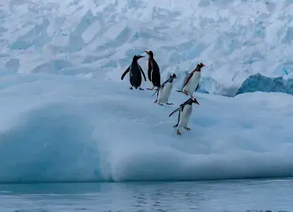 Antarctica Early Season Deals