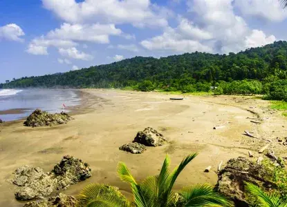  beach-near-Utria-NP_Colombia-HERO.jpg 