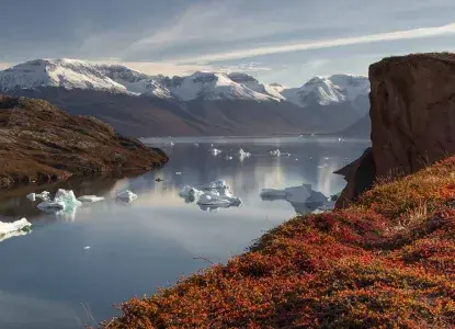Autumn-colored-alpine-bearberry_Kaiser-Franz-Joseph-Fjord%2C-Northeast-Greenland-National-Park_EG-HERO.jpg Autumn-colored-alpine-bearberry_Kaiser-Franz-Joseph-Fjord%2C-Northeast-Greenland-National-Park_EG-HERO.jpg