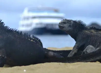 The Complete Travel Guide to Galapagos Islands Cruising