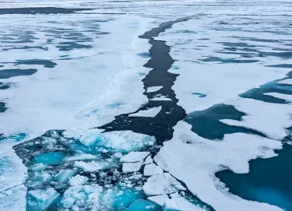 Plan the Best Svalbard Cruise With These Top Tips