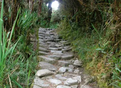 Inca%20Trail%20%282%29.jpg Inca%20Trail%20%282%29.jpg