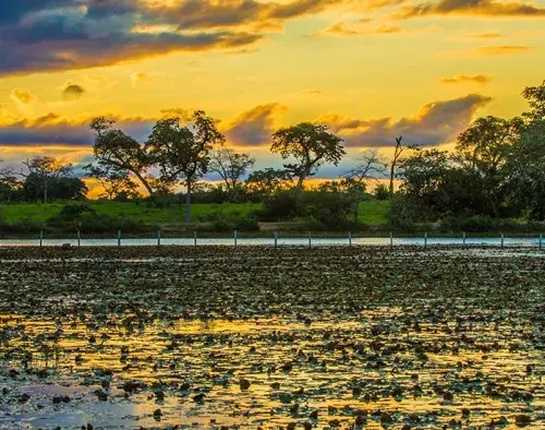 Amazon River Cruise | M/Y Tucano