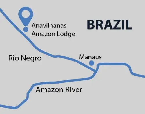 Brazil Amazon Extension | Anavilhanas Amazon Lodge