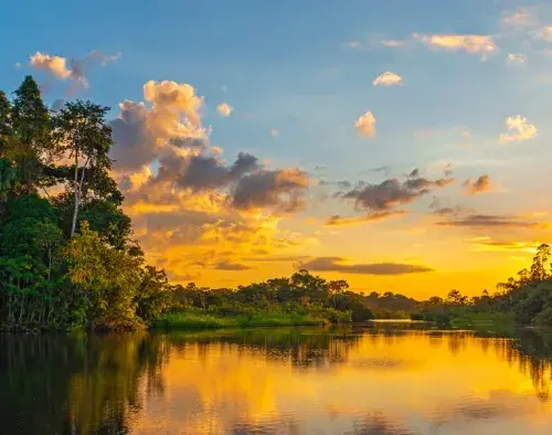 Brazil Amazon Extension | Juma Lodge