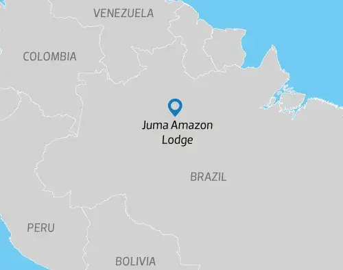 Brazil Amazon Extension | Juma Lodge