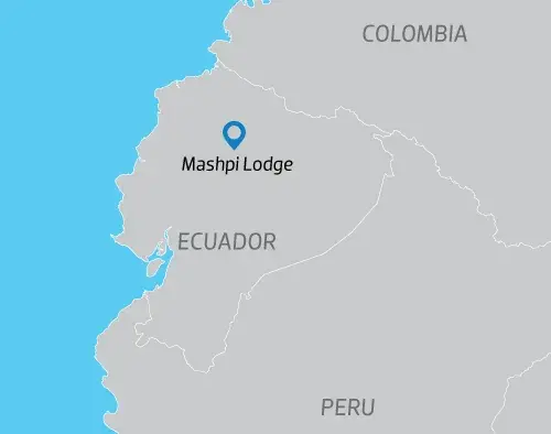 Mashpi Cloud Forest Lodge Extension