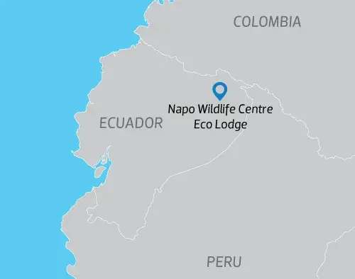 Ecuador Amazon Extension | Napo Wildlife Centre