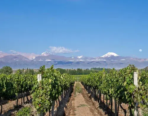 Mendoza Extension