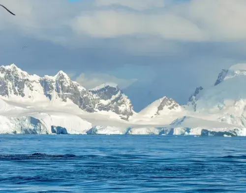Antarctic Express: Fly the Drake | Ocean Explorer