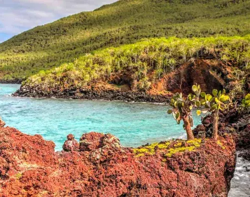 Galapagos Wildlife Discovery 5 days | Tribute