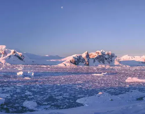 Emblematic Antarctica | Le Lyrial