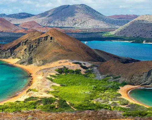 Signature Galapagos