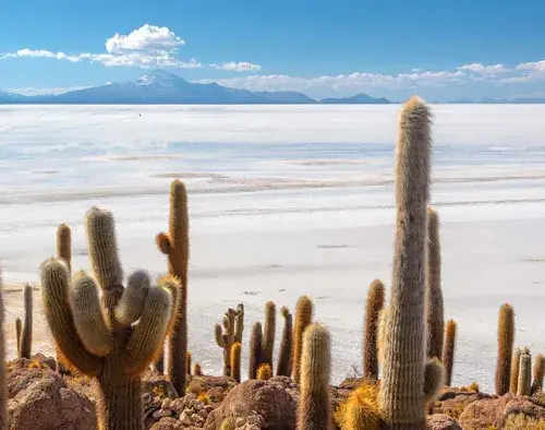 Signature Atacama Desert, Uyuni Salt Flats & Salta