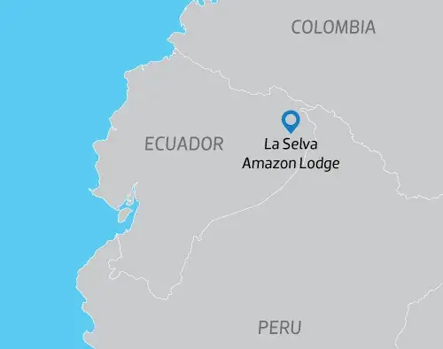 Ecuador Amazon Extension | La Selva Lodge