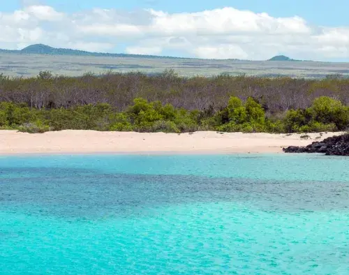 Eastern Islands Cruise | EcoGalaxy