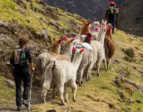 Mountain Lodges of Peru - Lares 8 Day